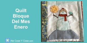 Quilt Bloque Del Mes Enero