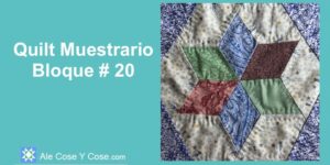 Quilt Muestrario Bloque 20