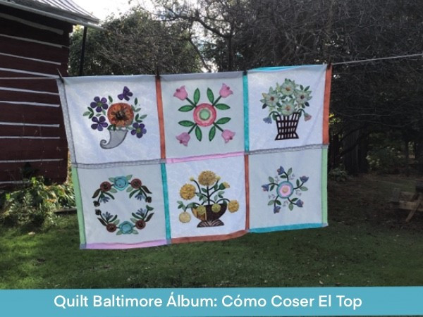 Coser Top Quilt Baltimore Abundancia