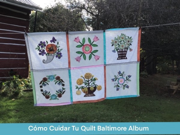 Como Cuidar Quilt Baltimore Album