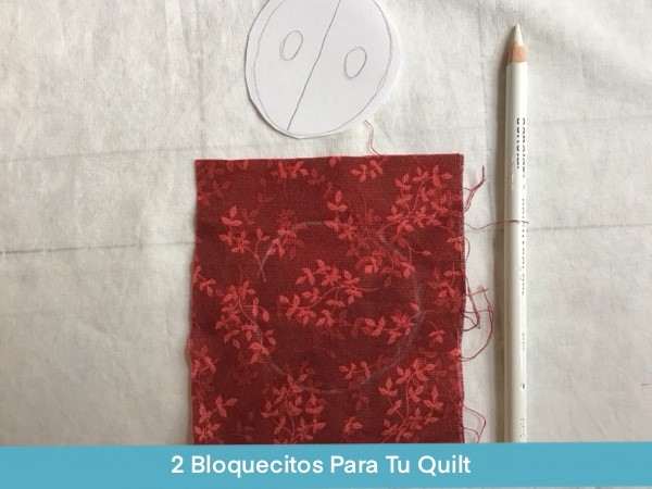 2 Bloquecitos El Conejo La Catarina